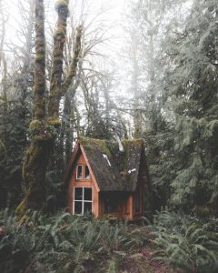 petite cabane