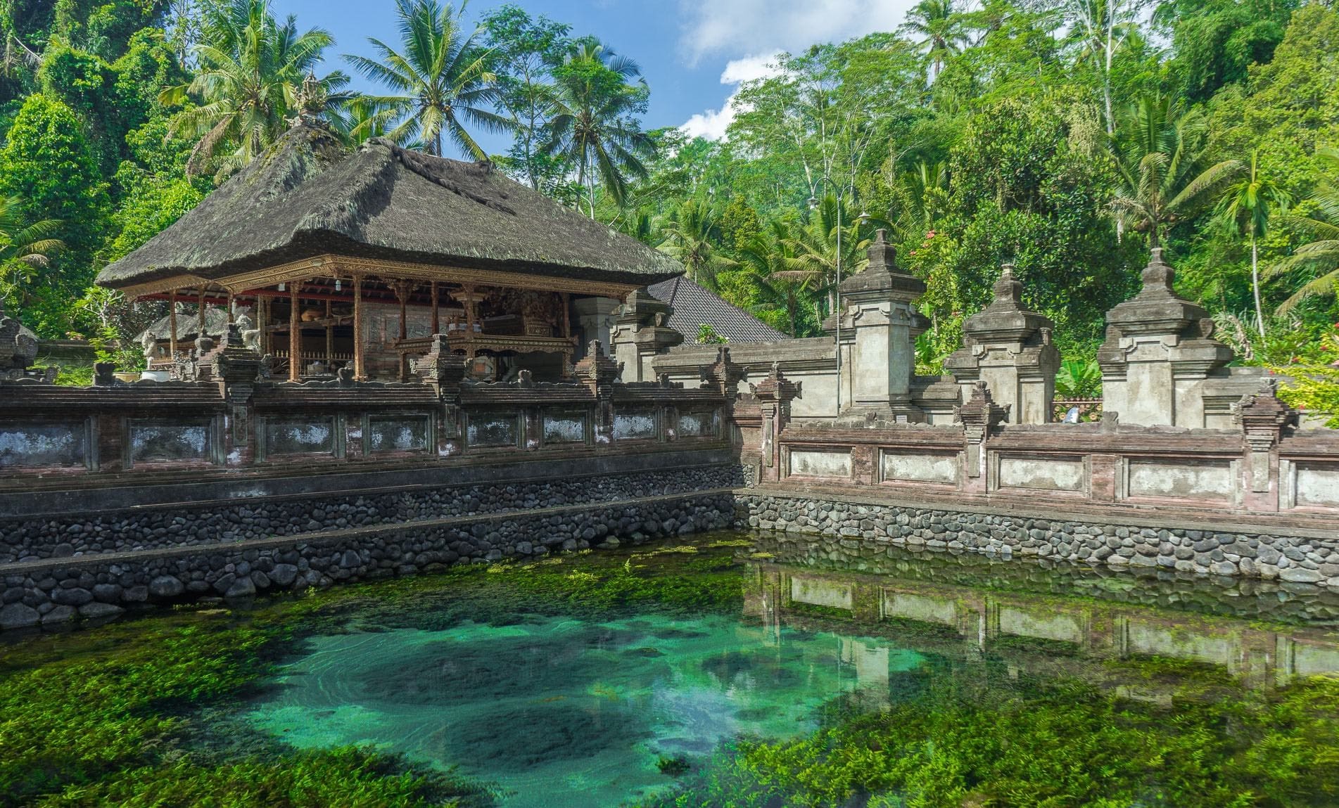Paysage d'Ubud à Bali, utile pour préparer un voyage en mai