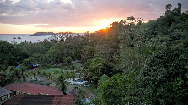 Plage et nature au parc Manuel Antonio au Costa Rica