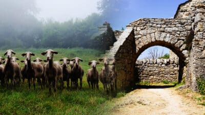Illustration voyage — Un séjour inoubliable de 3 jours dans le sud de l’Aveyron, entre Causses et Gorges
