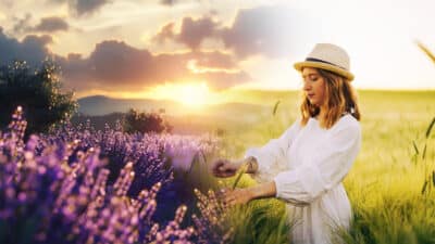 Illustration voyage — Découvrez les 30 incontournables à faire en Provence