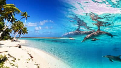 Illustration voyage — Voyage aux Bahamas, exploration des merveilles tropicales
