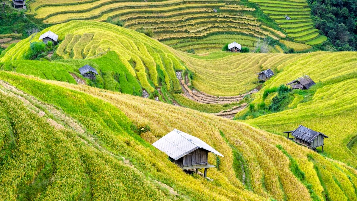 Rizières vietnamiennes pour prévoir le rythme et le budget d’un long voyage