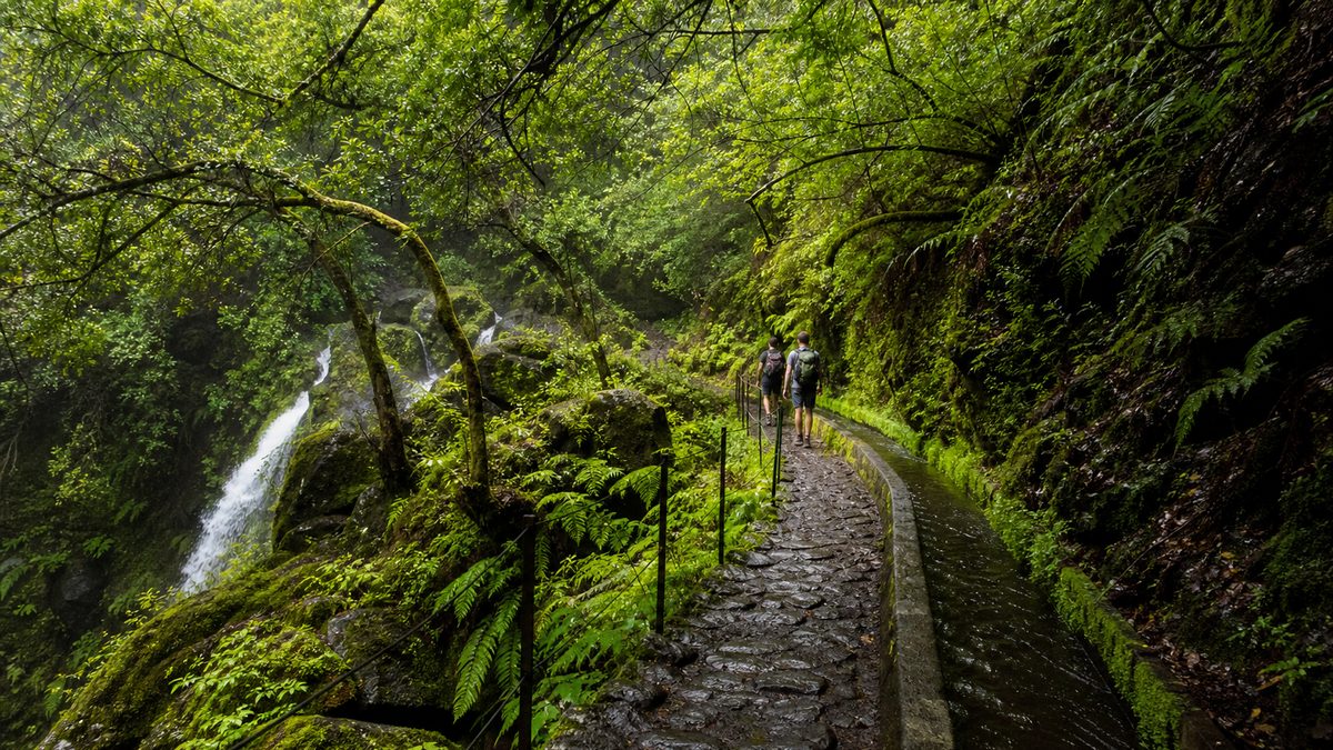 Randonneurs sur une levada dans la forêt de lauriers de Madère